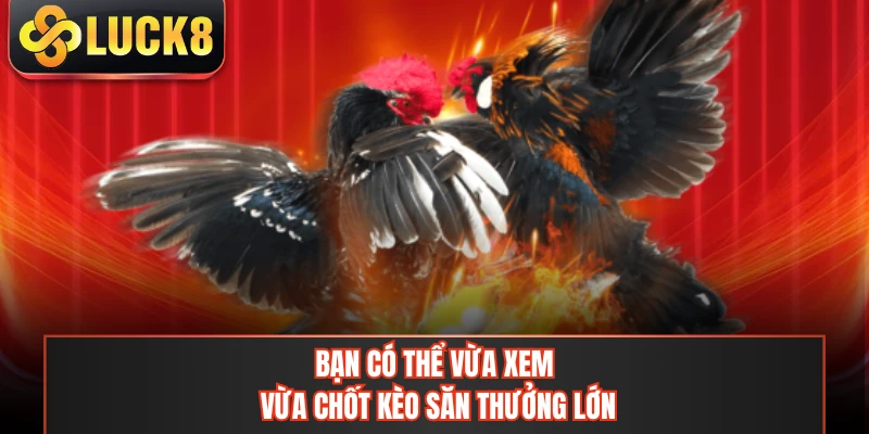 Bạn có thể vừa xem vừa chốt kèo săn thưởng lớn