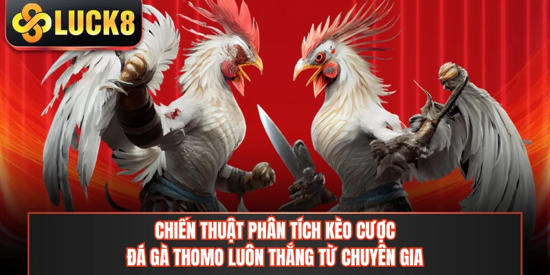 Chiến thuật phân tích kèo cược đá gà Thomo luôn thắng từ chuyên gia