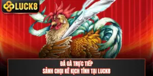 Đá Gà Trực Tiếp - Sảnh Chọi Kê Kịch Tính Tại LUCK8