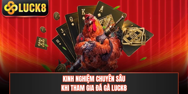 Kinh nghiệm chuyên sâu khi tham gia đá gà LUCK8