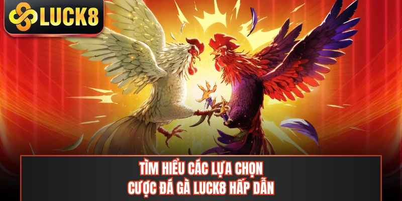 Tìm hiểu các lựa chọn cược đá gà LUCK8 hấp dẫn